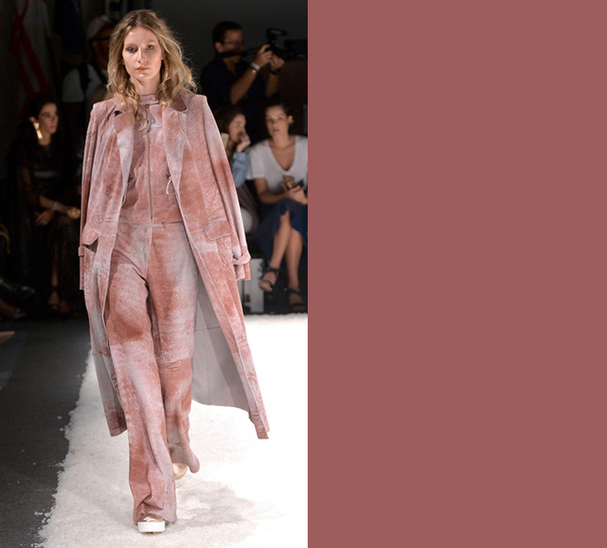 Cor Outono Inverno 2016 - dusty cedar