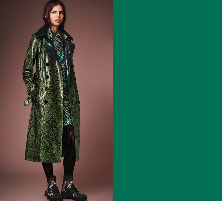 Cor Outono Inverno 2016 - lush meadow